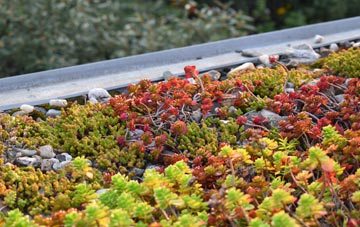 the cost of Praze An Beeble green roof installation