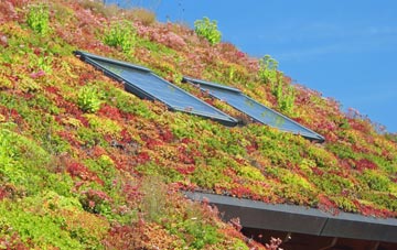 Praze An Beeble living roof systems