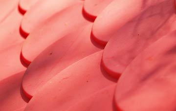 Praze An Beeble plastic roof costs