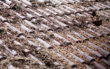 Praze An Beeble roof cleaning companies